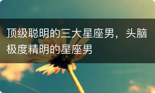 顶级聪明的三大星座男，头脑极度精明的星座男