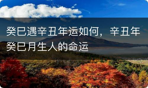 癸巳遇辛丑年运如何，辛丑年癸巳月生人的命运