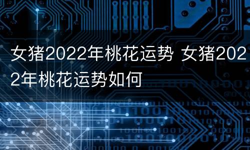 女猪2022年桃花运势 女猪2022年桃花运势如何