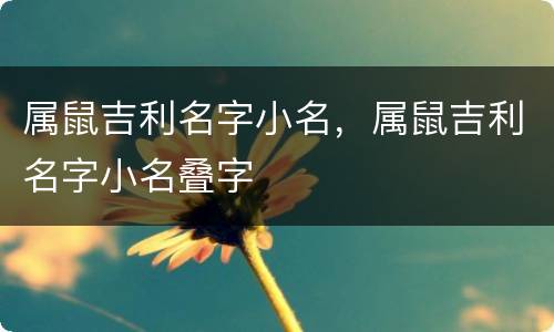 属鼠吉利名字小名，属鼠吉利名字小名叠字
