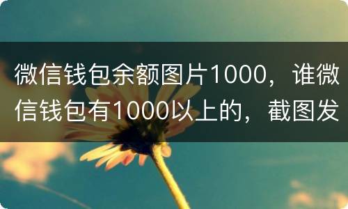 微信钱包余额图片1000，谁微信钱包有1000以上的，截图发给我