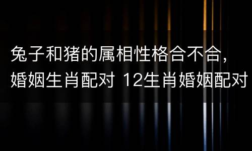 兔子和猪的属相性格合不合，婚姻生肖配对 12生肖婚姻配对大全