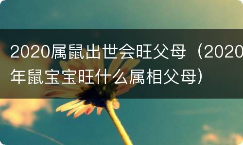 2020属鼠出世会旺父母（2020年鼠宝宝旺什么属相父母）