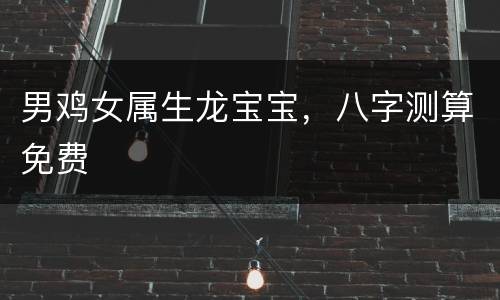 男鸡女属生龙宝宝，八字测算免费