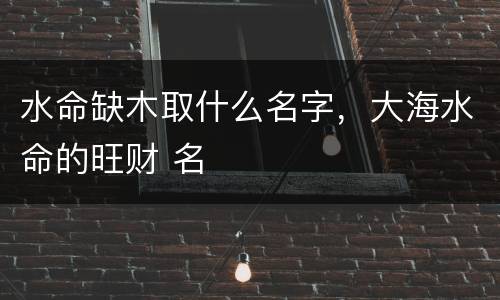 水命缺木取什么名字，大海水命的旺财 名