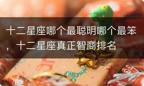 十二星座哪个最聪明哪个最笨，十二星座真正智商排名