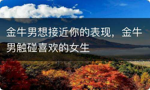 金牛男想接近你的表现，金牛男触碰喜欢的女生