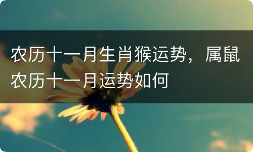 农历十一月生肖猴运势，属鼠农历十一月运势如何