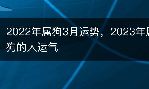 2022年属狗3月运势，2023年属狗的人运气