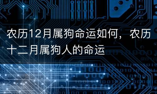 农历12月属狗命运如何，农历十二月属狗人的命运