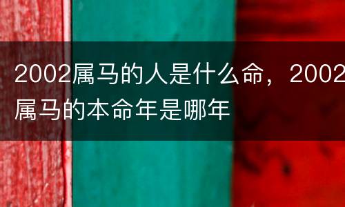 2002属马的人是什么命，2002属马的本命年是哪年