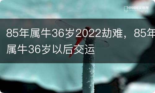 85年属牛36岁2022劫难，85年属牛36岁以后交运