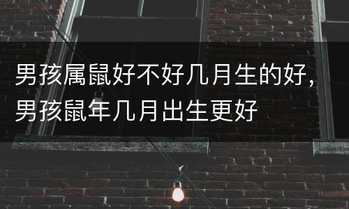 男孩属鼠好不好几月生的好，男孩鼠年几月出生更好