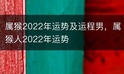 属猴2022年运势及运程男，属猴人2022年运势