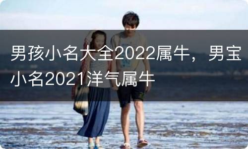 男孩小名大全2022属牛，男宝小名2021洋气属牛