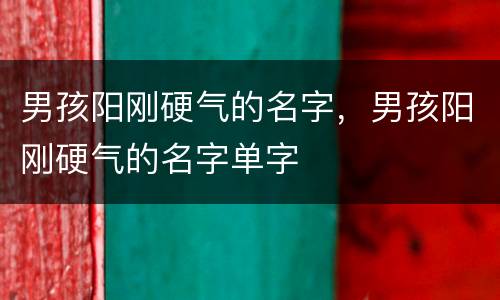 男孩阳刚硬气的名字，男孩阳刚硬气的名字单字