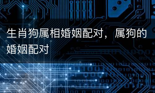 生肖狗属相婚姻配对，属狗的婚姻配对
