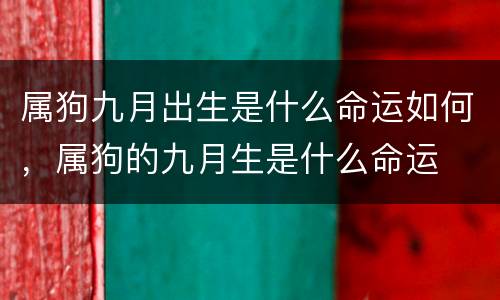 属狗九月出生是什么命运如何，属狗的九月生是什么命运