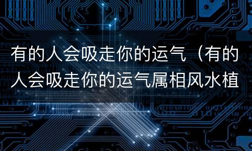 有的人会吸走你的运气（有的人会吸走你的运气属相风水植物）