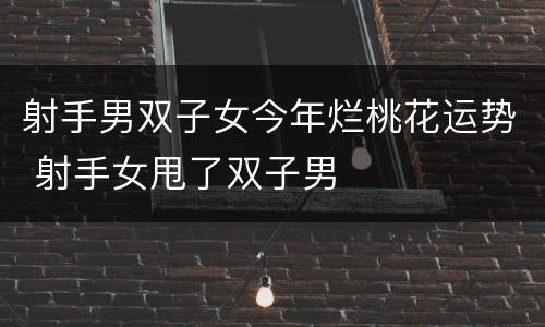 射手男双子女今年烂桃花运势 射手女甩了双子男