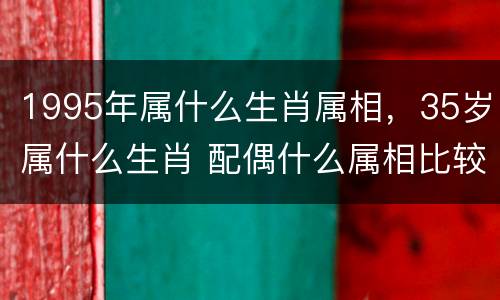 1995年属什么生肖属相，35岁属什么生肖 配偶什么属相比较