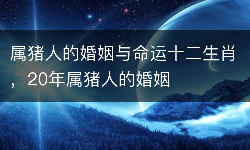 属猪人的婚姻与命运十二生肖，20年属猪人的婚姻