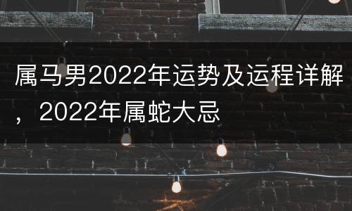 属马男2022年运势及运程详解，2022年属蛇大忌