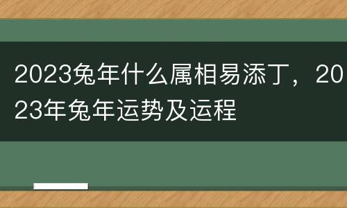 2023兔年什么属相易添丁，2023年兔年运势及运程