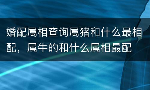 婚配属相查询属猪和什么最相配，属牛的和什么属相最配