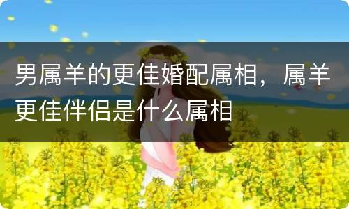 男属羊的更佳婚配属相，属羊更佳伴侣是什么属相