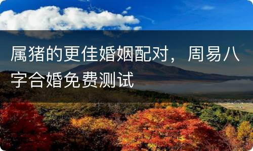 属猪的更佳婚姻配对，周易八字合婚免费测试