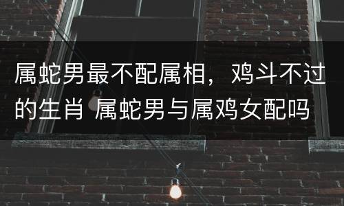 属蛇男最不配属相，鸡斗不过的生肖 属蛇男与属鸡女配吗