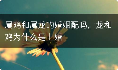 属鸡和属龙的婚姻配吗，龙和鸡为什么是上婚