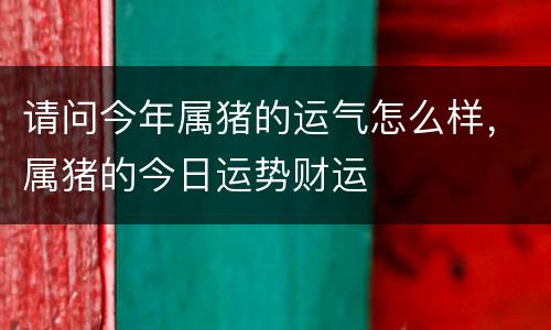 请问今年属猪的运气怎么样，属猪的今日运势财运