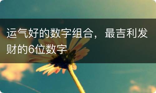 运气好的数字组合，最吉利发财的6位数字