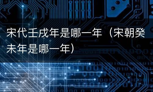 宋代壬戌年是哪一年（宋朝癸未年是哪一年）