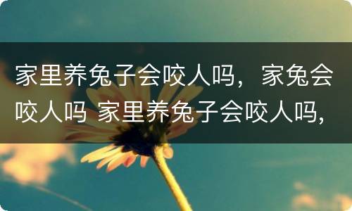 家里养兔子会咬人吗，家兔会咬人吗 家里养兔子会咬人吗,家兔会咬人吗视频