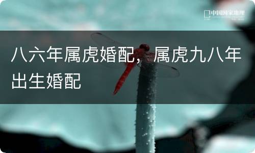 八六年属虎婚配，属虎九八年出生婚配
