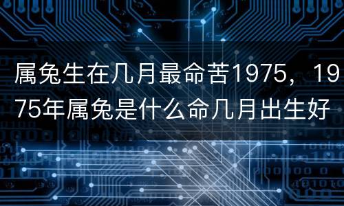 属兔生在几月最命苦1975，1975年属兔是什么命几月出生好