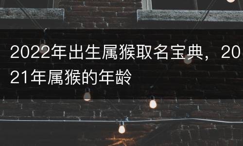 2022年出生属猴取名宝典，2021年属猴的年龄