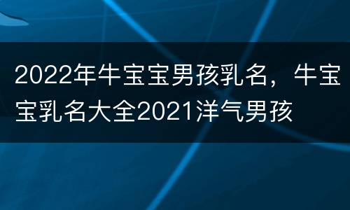 2022年牛宝宝男孩乳名，牛宝宝乳名大全2021洋气男孩