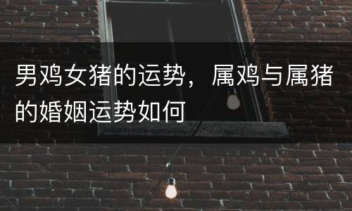 男鸡女猪的运势，属鸡与属猪的婚姻运势如何