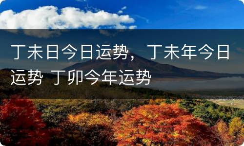 丁未日今日运势，丁未年今日运势 丁卯今年运势