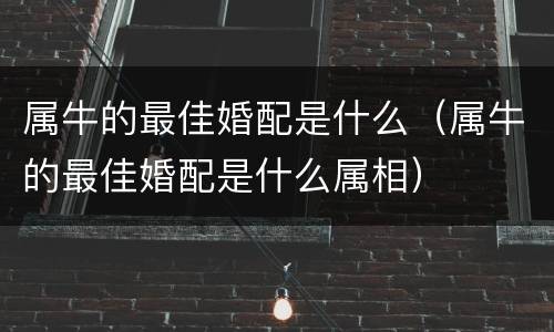 属牛的最佳婚配是什么（属牛的最佳婚配是什么属相）