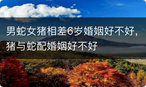 男蛇女猪相差6岁婚姻好不好，猪与蛇配婚姻好不好