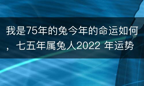 我是75年的兔今年的命运如何，七五年属兔人2022 年运势