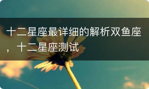 十二星座最详细的解析双鱼座，十二星座测试