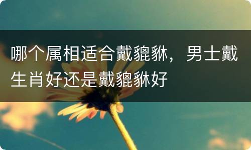 哪个属相适合戴貔貅，男士戴生肖好还是戴貔貅好
