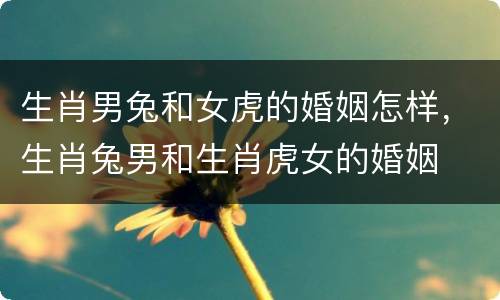 生肖男兔和女虎的婚姻怎样，生肖兔男和生肖虎女的婚姻