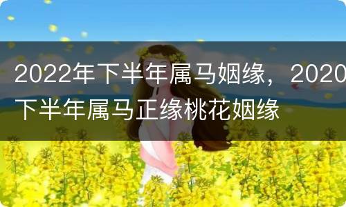 2022年下半年属马姻缘，2020下半年属马正缘桃花姻缘